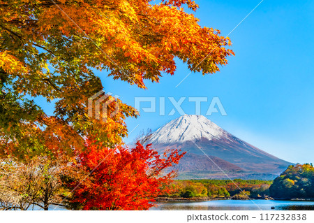 Mt. Fuji and autumn leaves - Lake Shoji and Hategohama Beach - Mt. Fuji and autumn leaves - Lake Shoji and Hategohama Beach - 117232838