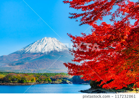 富士山和紅葉~精司子/立合浜~ 富士山和紅葉~精司子/立合浜~ 117232861