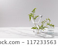 Potted plants in small glass vases. White, grey, with space. 117233563