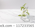 Potted plants in small glass vases. White, grey, with space. 117233565