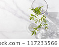 Potted plants in small glass vases. White, grey, with space. 117233566