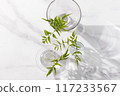 Potted plants in small glass vases. White, grey, with space. 117233567