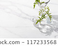 Potted plants in small glass vases. White, grey, with space. 117233568