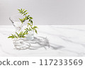 Potted plants in small glass vases. White, grey, with space. 117233569