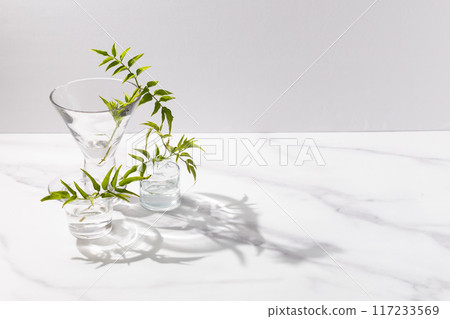 Potted plants in small glass vases. White, grey, with space. Potted plants in small glass vases. White, grey, with space. 117233569
