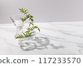 Potted plants in small glass vases. White, grey, with space. 117233570