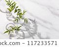 Potted plants in small glass vases. White, grey, with space. 117233571