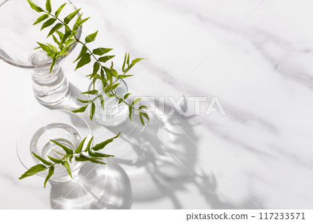Potted plants in small glass vases. White, grey, with space. 117233571