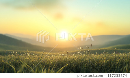 清晨陽光下的草原 117233874