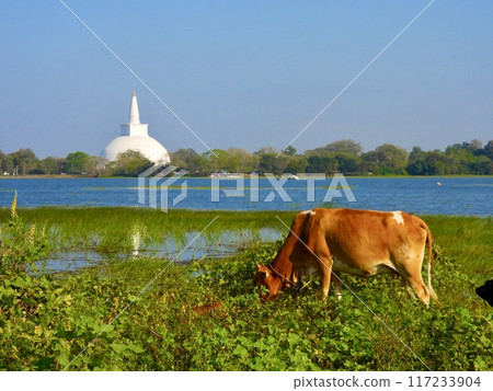Landscape with a pagoda 117233904