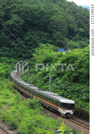 JR Central 383 Series Express "Shinano" running through the fresh green Chuo-Nishi Line_Photo taken on July 6, 2024 117234014