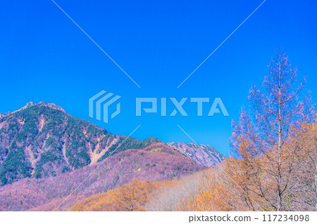 [Autumn material] Higashizawa Bridge and Yatsugatake in late autumn with blue skies [Yamanashi Prefecture] 117234098