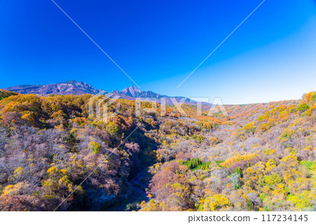 [秋天素材]從八嶽大橋看到的紅葉季節的八岳和藍天[山梨縣] 117234145