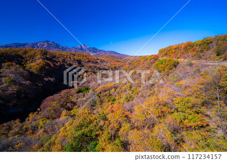 [秋天素材]從八嶽大橋看到的紅葉季節的八岳和藍天[山梨縣] 117234157