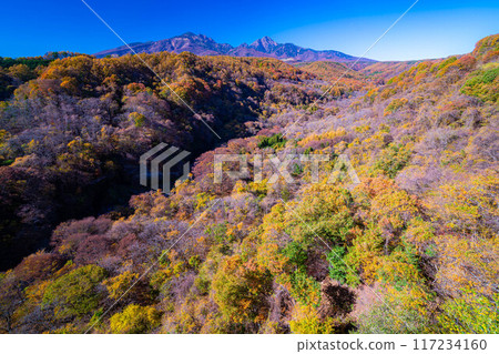 [Autumn material] Yatsugatake and blue sky during the autumn leaves season seen from Yatsugatake Ohashi Bridge [Yamanashi Prefecture] 117234160