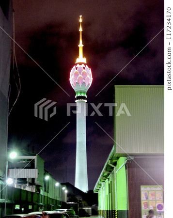夜晚的蓮花塔 117234170
