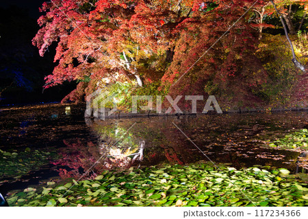 Light-up autumn leaves of autumn 117234366