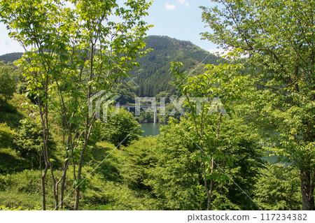 Lake Okutsu Lake Okutsu 117234382