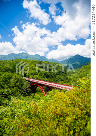 八岳高原線/東澤大橋 八岳高原線/東澤大橋 117234440