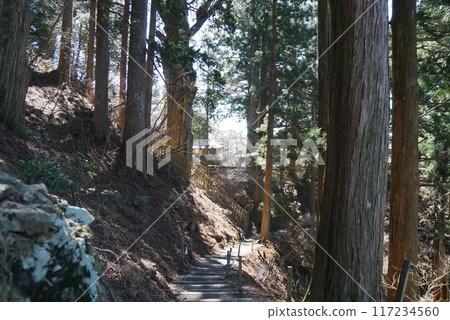 玉木神社/參道 玉木神社/參道 117234560