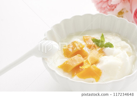 優格加芒果乾 優格加芒果乾 117234648