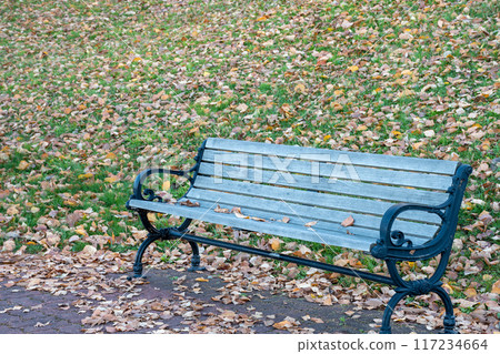 Autumn park bench Autumn park bench 117234664