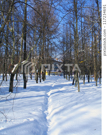 a narrow path among the snow-covered forest 117234691