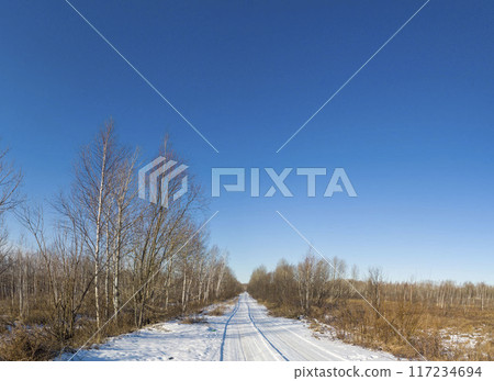 straight snow-covered road in the woods and fields under a cloudless straight snow-covered road in the woods and fields under a cloudless 117234694