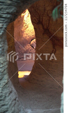 exhibits of the life of a caveman in a museum exhibits of the life of a caveman in a museum 117234704