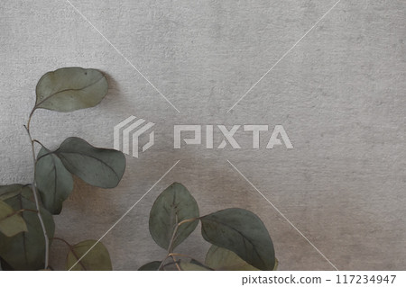 灰色背景 灰色背景 117234947