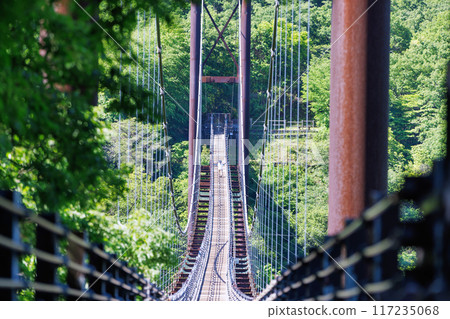 Suspension bridge at Hoshida Park, Osaka Prefectural Forest 117235068