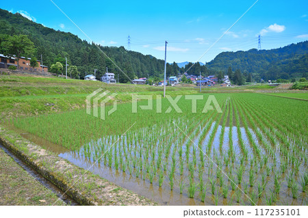 A rural house nestled next to a rice field, a rural scene in early summer, Tokamachi City, Niigata Prefecture A rural house nestled next to a rice field, a rural scene in early summer, Tokamachi City, Niigata Prefecture 117235101