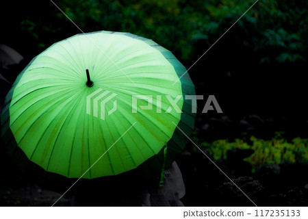 rain droplets on a Green umbrella rain droplets on a Green umbrella 117235133