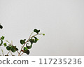 班傑明·巴洛克 117235236