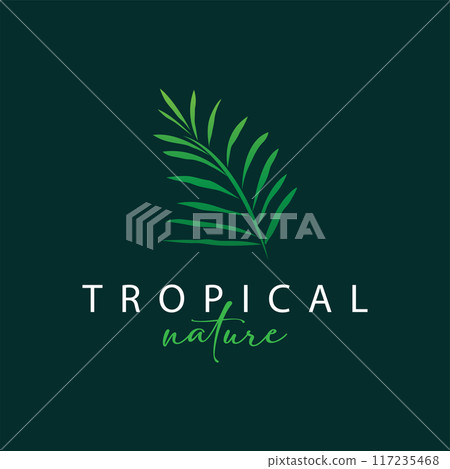 Palm Leaf Logo Design Vector Simple Minimalist Symbol Illustration Template 117235468