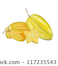 star apple watercolor pictures on paper 117235543