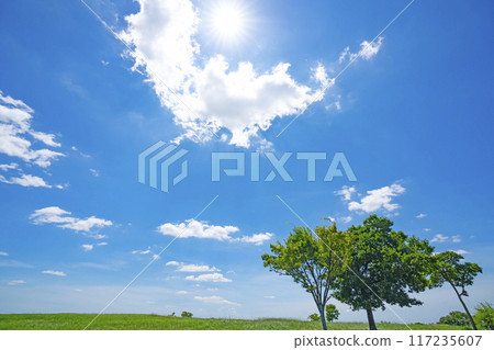Summer blue sky, grassland and sun 117235607