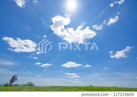 Summer blue sky, grassland and sun 117235609