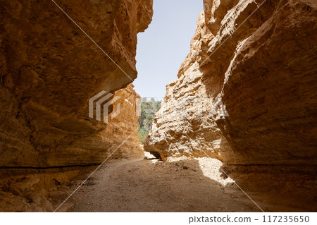 Arid cliffs of Tamaghza Canyon leading to verdant oasis in Tunisia 117235650