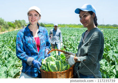 Portrait of positive women gardeners holding wicker basket full of cauliflowers Portrait of positive women gardeners holding wicker basket full of cauliflowers 117235739