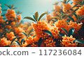 Golden Osmanthus 001 117236084
