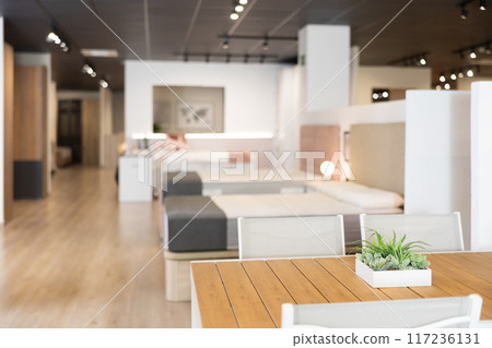 Interior of modern furniture salon shopping room with tables and sofas 117236131