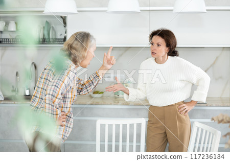 Angry old and middle-aged women quarreling aggressively to each other in the kitchen Angry old and middle-aged women quarreling aggressively to each other in the kitchen 117236184