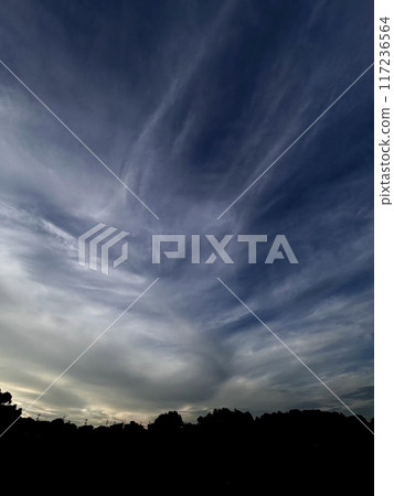 Clouds illuminated by the setting sun 117236564