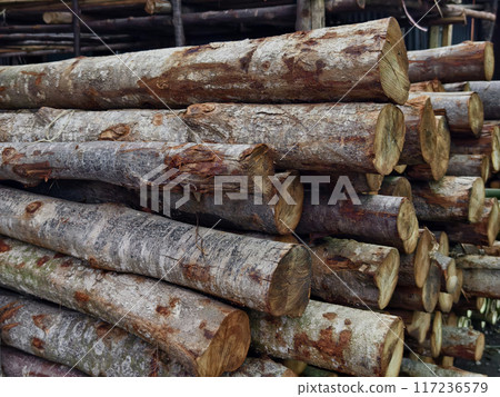 Logs are neatly piled on top of one another, forming a stack Logs are neatly piled on top of one another, forming a stack 117236579