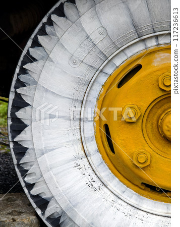 A detailed view of tire a blue bus with yellow and white sunflower 117236613