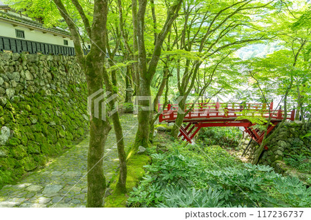 岐阜縣揖斐川町,西美濃三十三聖地第一寺的新綠中橫藏寺的紅橋 岐阜縣揖斐川町,西美濃三十三聖地第一寺的新綠中橫藏寺的紅橋 117236737