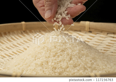 New rice in hand New rice in hand 117236763