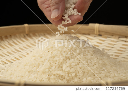 New rice in hand 117236769