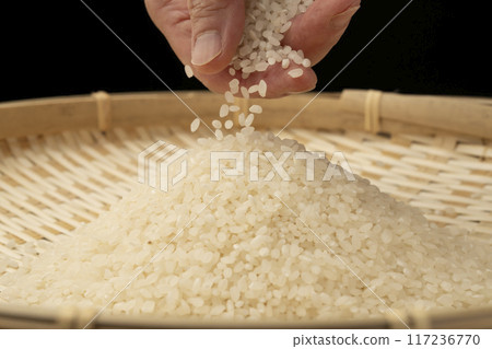New rice in hand New rice in hand 117236770